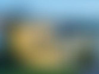 Arden Hotel and Leisure Club Wedding Venue Review – A Trusted Solihull Favourite with Everything in One Place