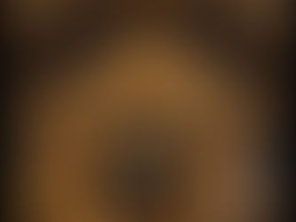 Wedding Venue Review: The Old Stables at Keele