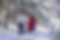 Screenshot 2026-05-01 105416.png