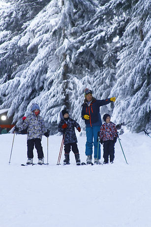 0006-Web Cero-SKI-022.jpg