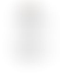 Daily Feature Feb,19-23