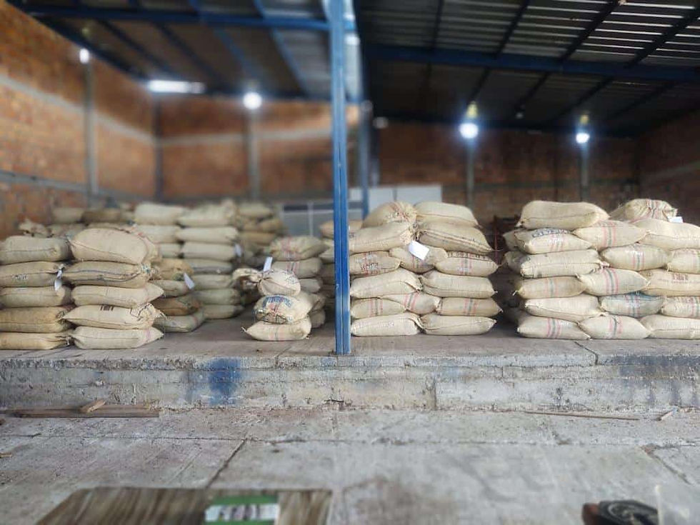 Thumbnail: HUL 115- Sugarcane Decaf Washed