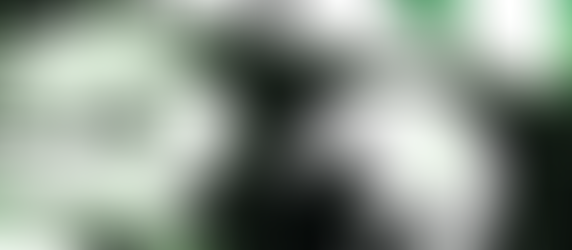 Greenfield Youth Film Festival: Amplifying Youth Voices