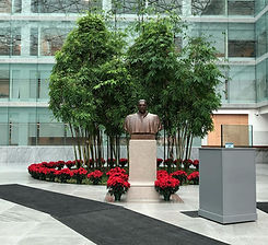 commercial landscape