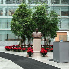 JCA Commercial Landscape