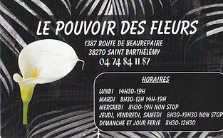 21 - LE POUVOIR DES FLEURS_edited.jpg
