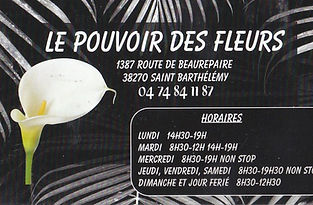 21 - LE POUVOIR DES FLEURS_edited.jpg