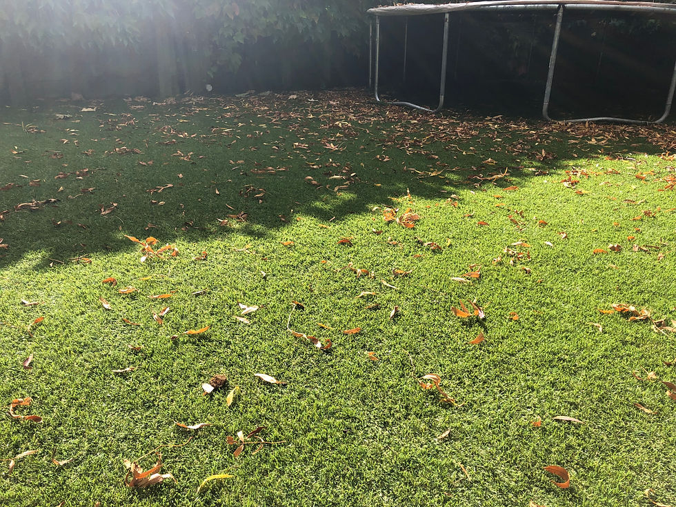 35mm Summer Cool Turf