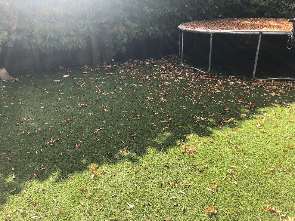 35mm Summer Cool Turf