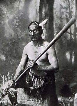 THE SWORDSMAN IN THE SWAMP