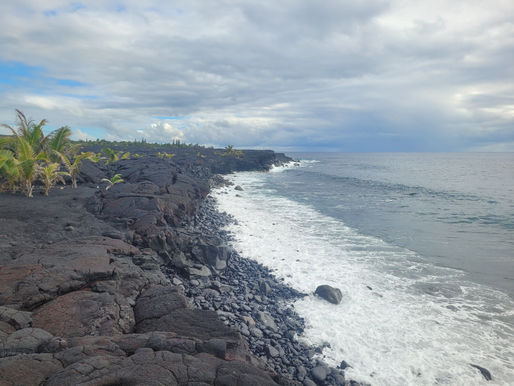 Pe'ape'a Makawalu i ka OLELO HAWAII