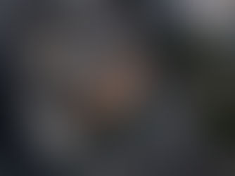 BEST TIME TO VISIT SANCTUARY BANGKOK