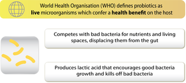 Explore the World with Foods Good for Gut Health