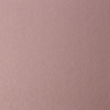 Vegan-Leather-Sunset.jpg