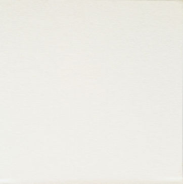 Brushed EcoLeather - White.jpg