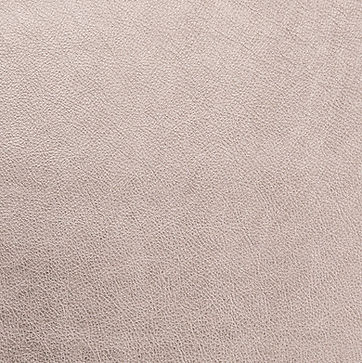 METALLIC LEATHER - MILLENIUM.jpg