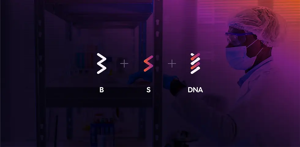 BSB-3.webp