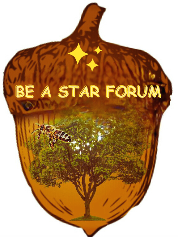 Be A Star Forum Logo.png