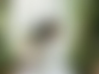 A Sun-Kissed Celebration at Tamarack: Jessica & Derek, 08.23.25