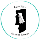 Untitled design (2).png