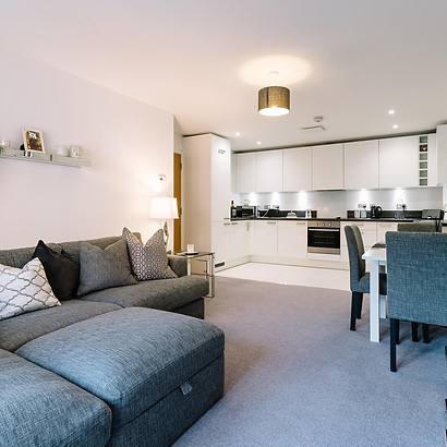 salon et cuisine ouverte contemporains