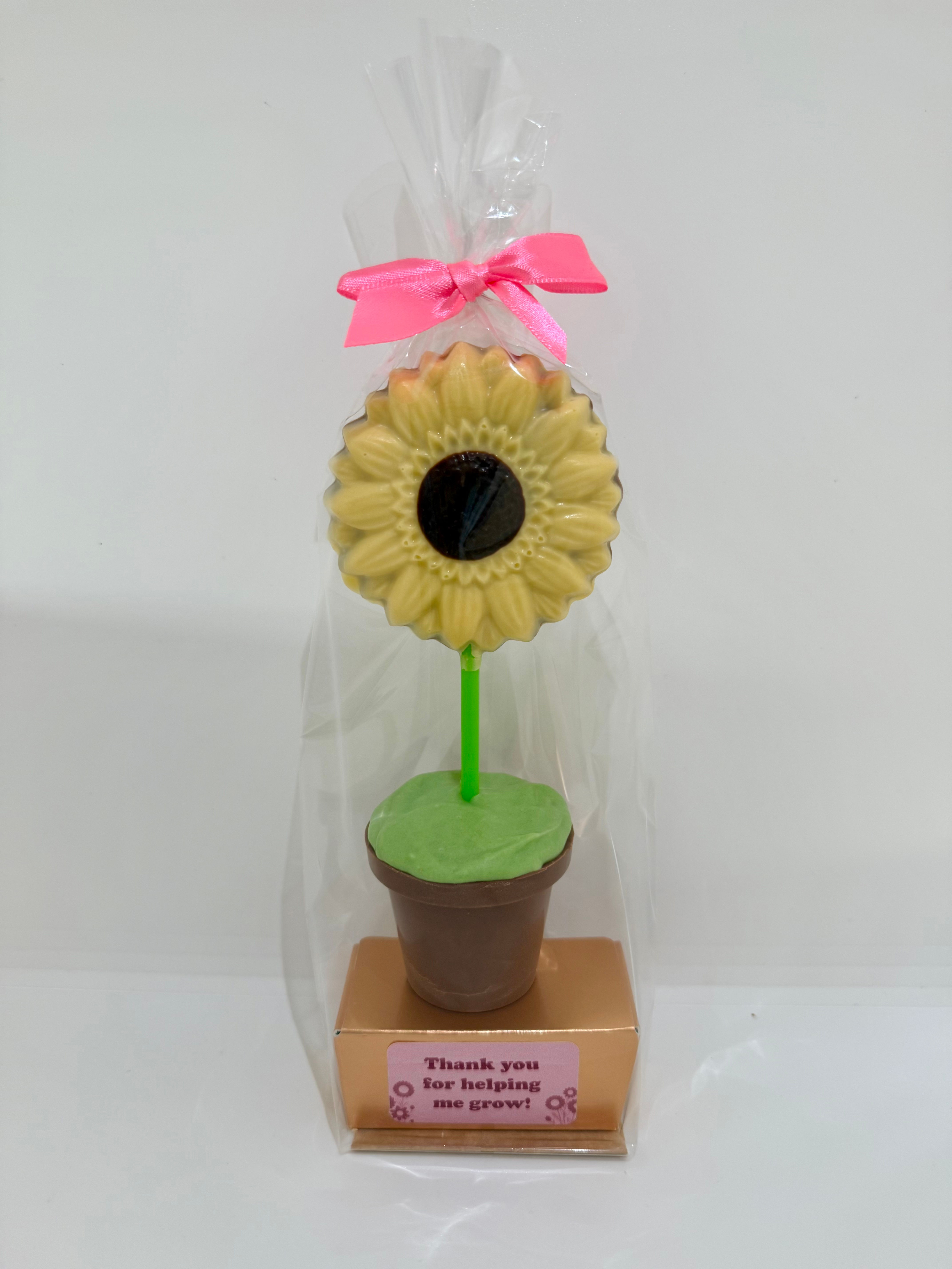 Collection Only!!! Thank You Sunflower Pot