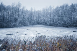 IMG_1656small.jpg