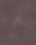 Prancheta 5.png