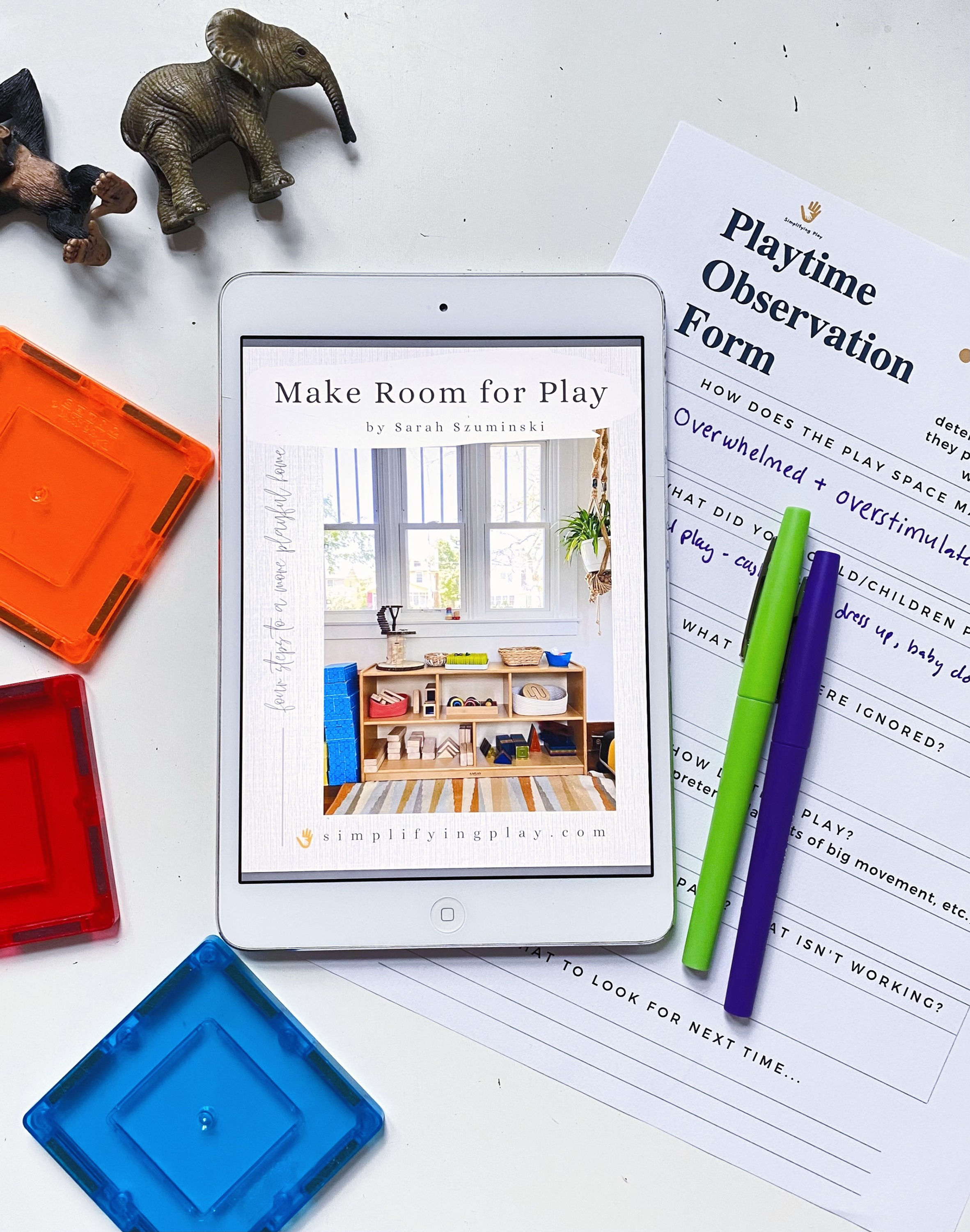 Make Room for Play eBook