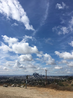 LA Skyline from Ascott Park