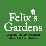 LOGO Felix.webp