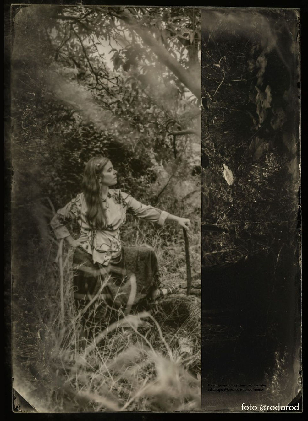 Dora Juárez, Planeta ballena