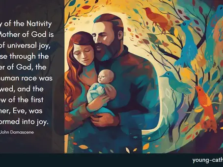 Announcements 8th September 23rd Sunday Ordinary time