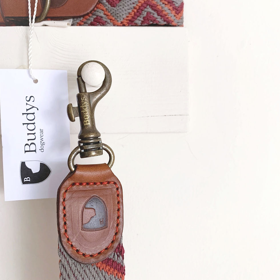 Thumbnail: buddy's dogwear 'peruvian pikes' lead