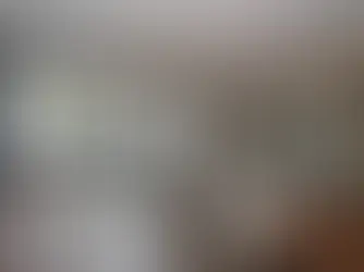 Kitchen Renovation Services