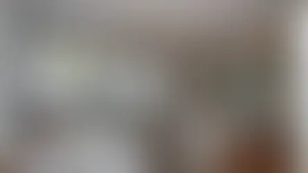 Kitchen Renovation Services