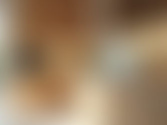 Kitchen Renovation Services