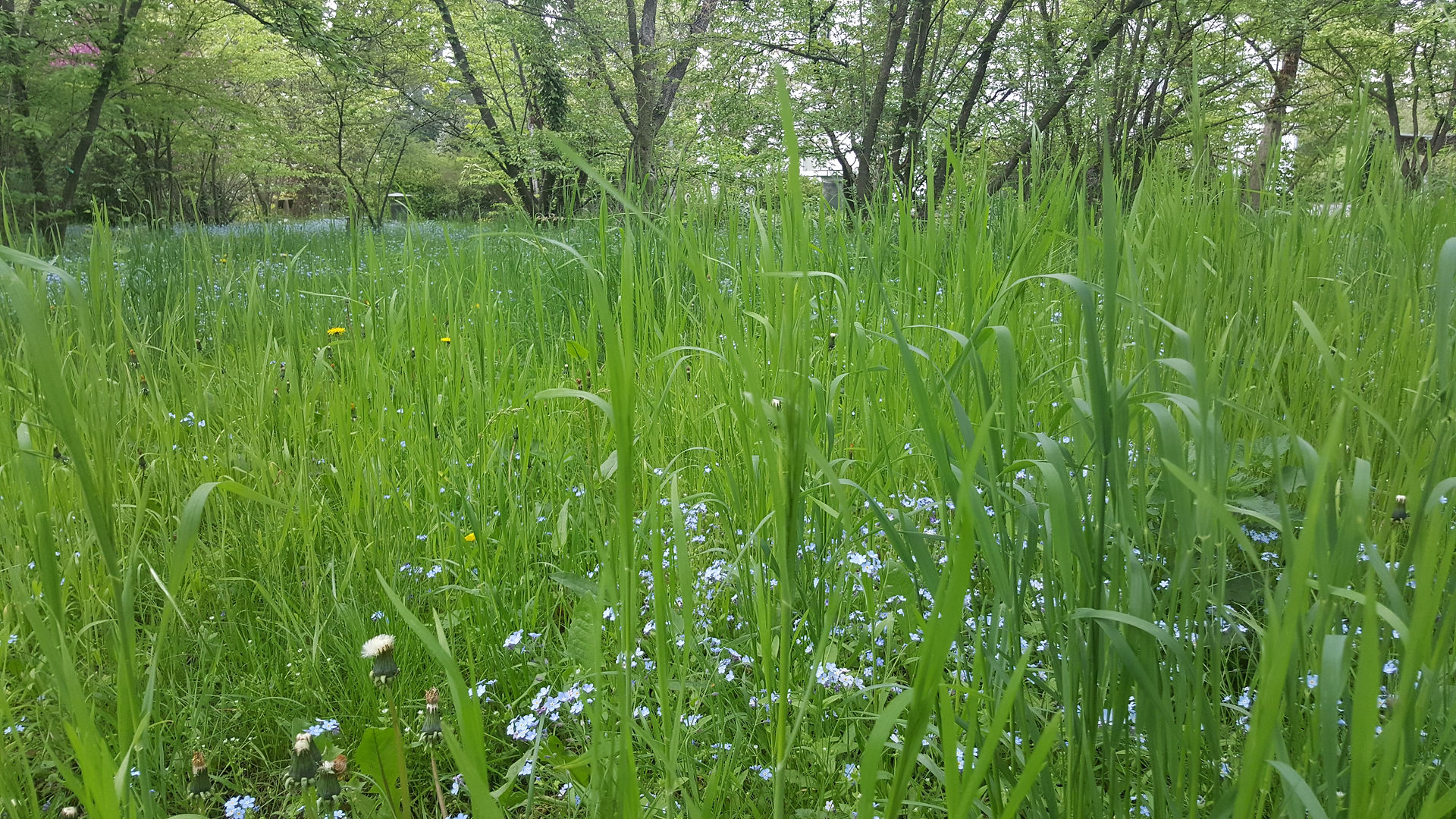 20170514_160440