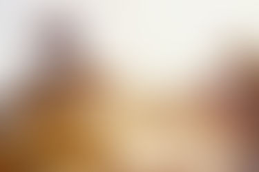 Quando è responsabile il gestore?