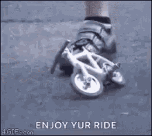 tenor.gif