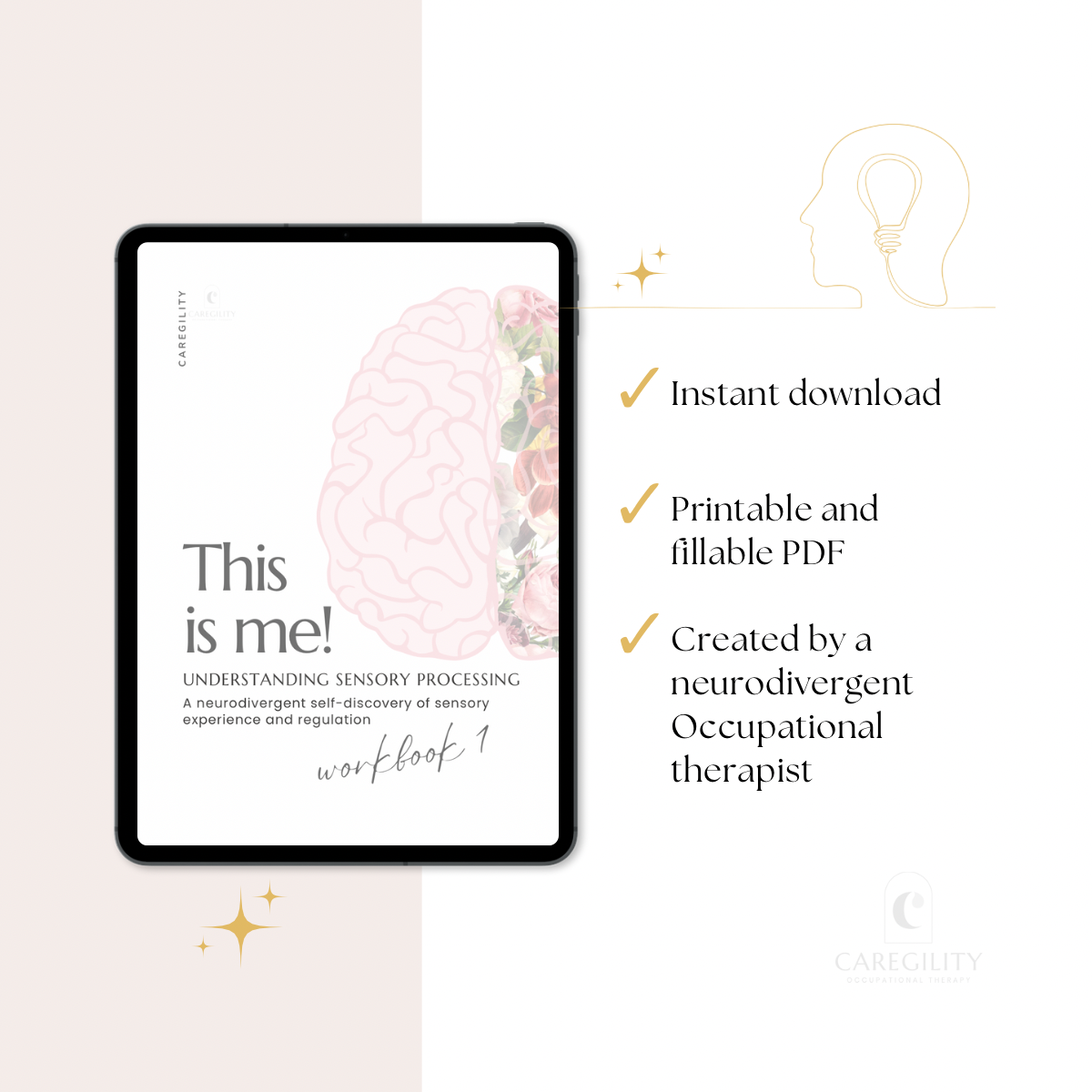 Understanding Sensory Processing