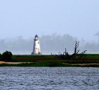 CockspurLight_v2_1_Color_9662_edited_edi