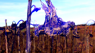 Screenshot (39).png
