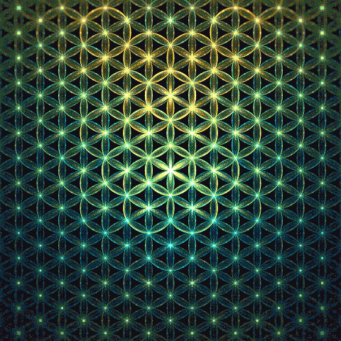 asanoha_flower_v3_3.gif