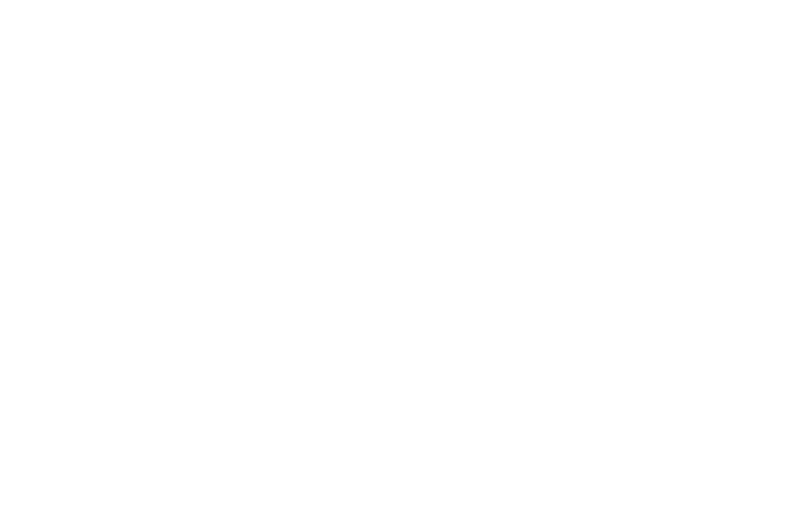Logo transparent white_edited.png