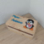 pte pinguoin