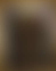 The Rights of Man: Promise and Paradox