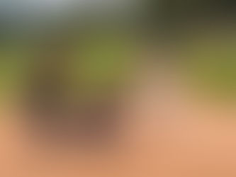 Spannendes Duell endet mit knapper Niederlage für Duisburg