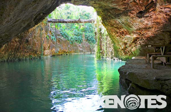 Miniatura: Xenotes