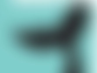 על יומולדת, קריאת ספרים, וחינוך ילדים